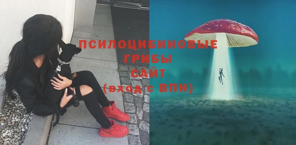крисы Мегион