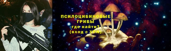 мдпв Майский