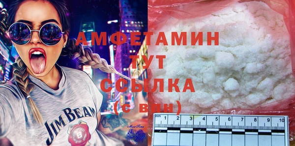крисы Мегион