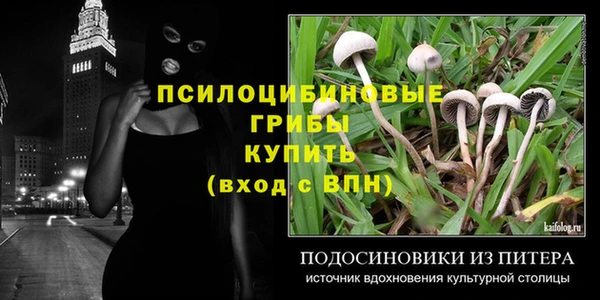 индика Лихославль