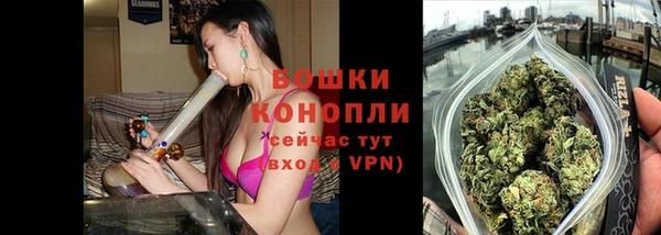 крисы Мегион
