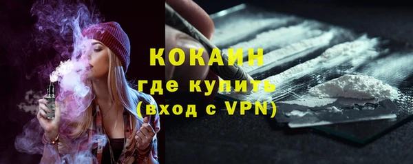 шишки Ачинск