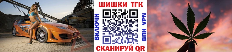 где найти наркотики  Суровикино  Бошки марихуана конопля 